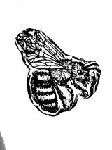 Abeja / Negro Abeja / Negro
