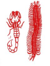 Alacrán y ciempiés / Rojo