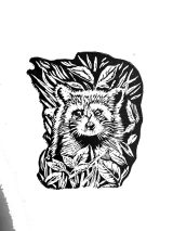 Mapache / Negro Mapache / Negro