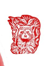Mapache / Rojo Mapache / Rojo